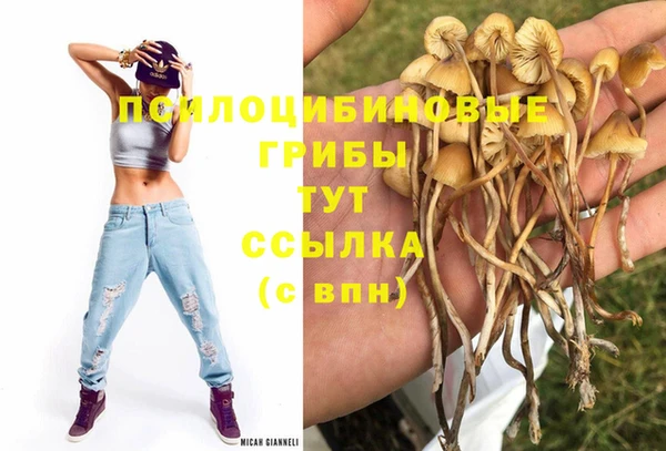 ALPHA PVP Алексин