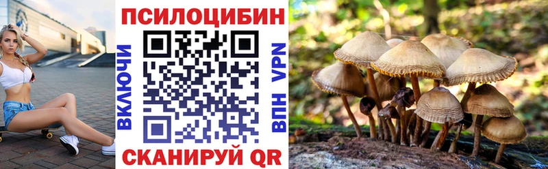 цена наркотик  Павловская  Псилоцибиновые грибы Cubensis 
